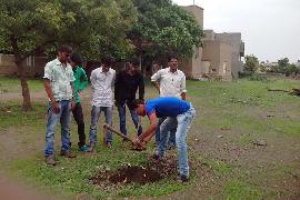 Vruksharopan 6-8-2014 